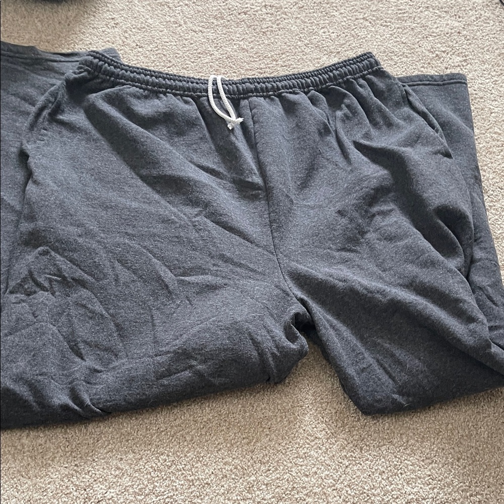 Hanes Men's Gray Pants